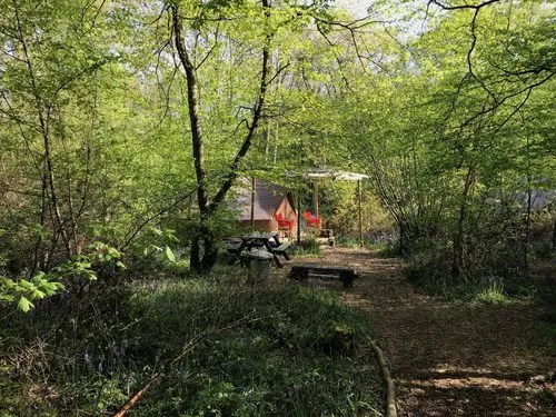 GlampingatWildBoarWoodcampsite