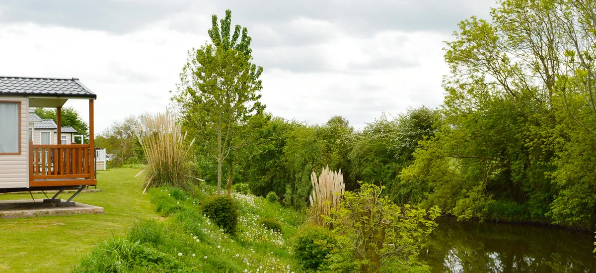 homeheader01