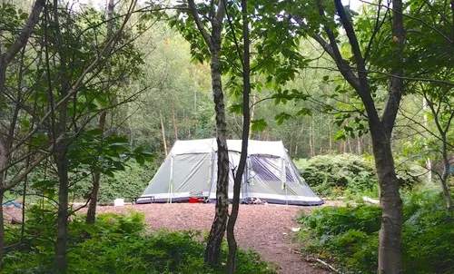 ForestTentPitchinSussex