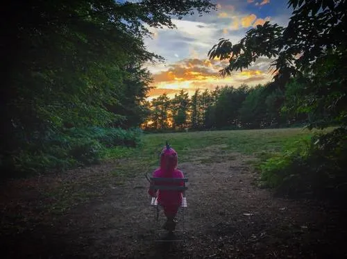 SunsetatWoodlandMeadow