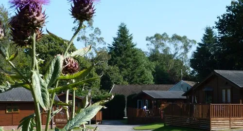 EdenValleyPhotos20151051089x585