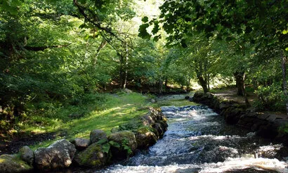 tryweryn1
