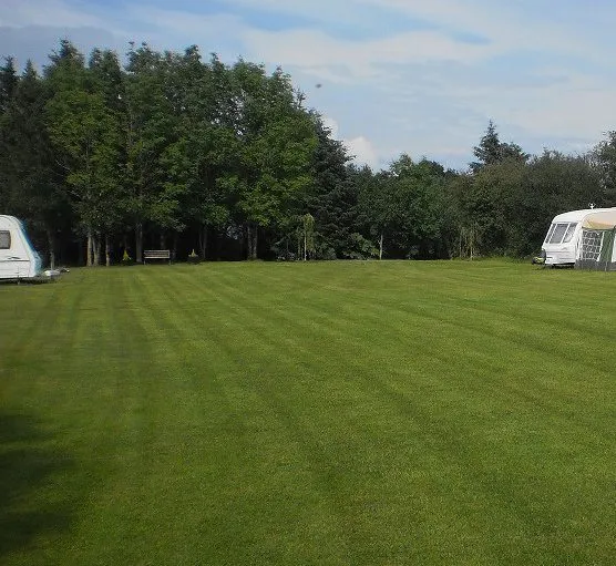 sitefield