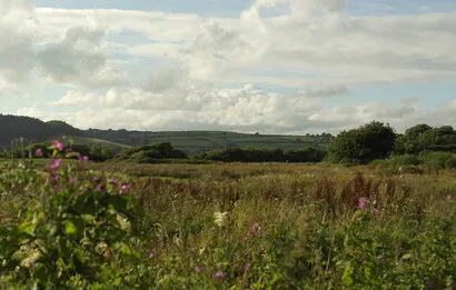 ferrysidefarmbbtearoomssurroundings