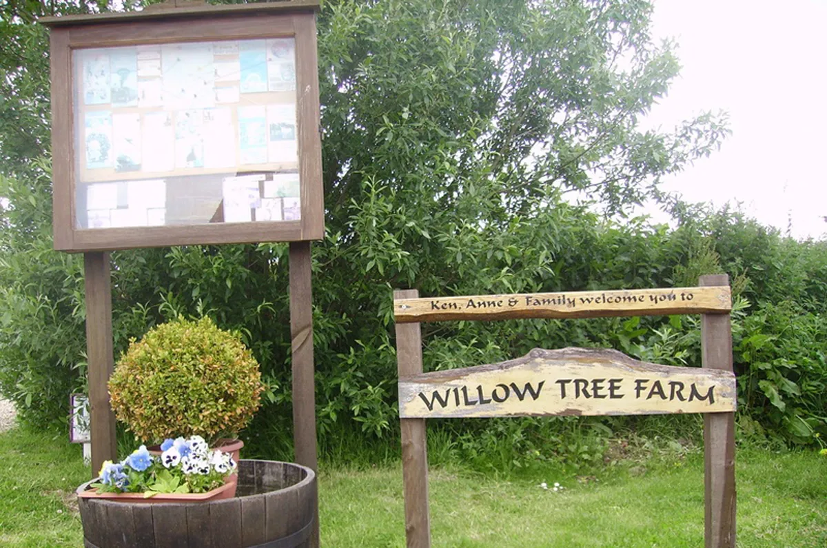 webwillow11